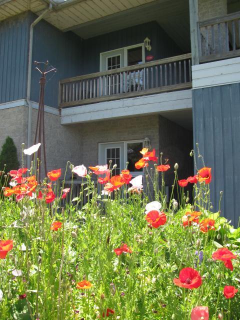Highlands Four Season Resort Calabogie 외부 사진